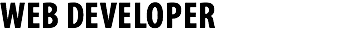 WEB DEVELOPER